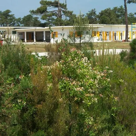 Camping Vent D'est Vendays-Montalivet